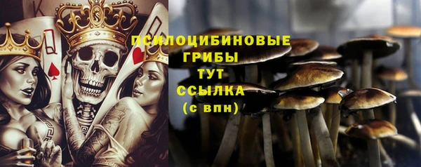 стаф Алексеевка